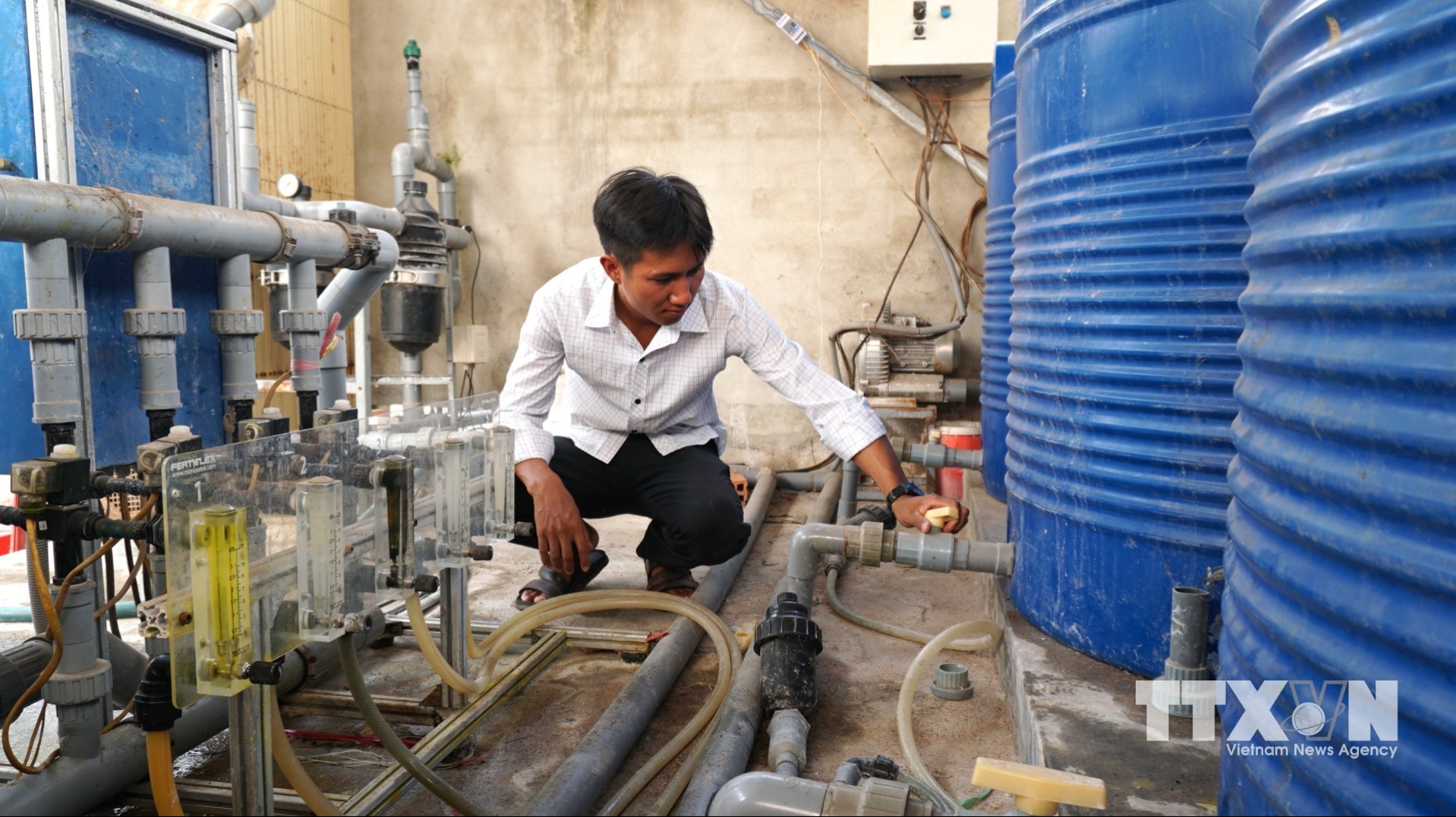 Hệ thống tưới nhỏ giọt của nông dân Tây Ninh giúp tiết kiệm chi phí nhân công nhờ khả năng tự động hóa, đồng thời phù hợp với nhiều địa hình và giúp đất không bị xói mòn. (Ảnh: Minh Phú/TTXVN)